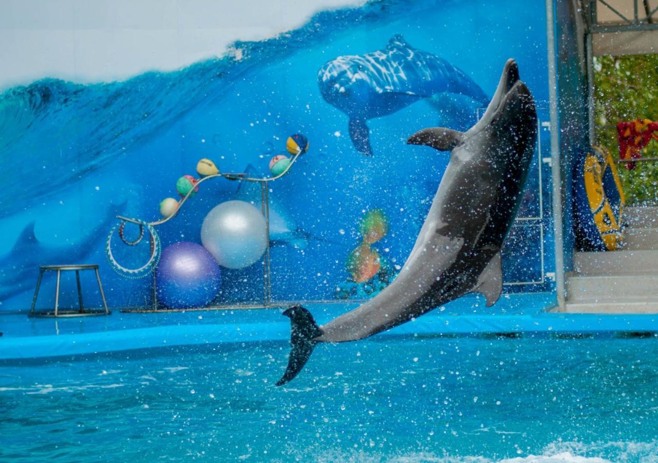 뫼벤픽 호텔 아파트먼트 알 맘자르 두바이 외부 사진 Dolphin show at the park